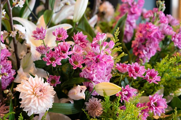 Flores que transforman cada rincón 