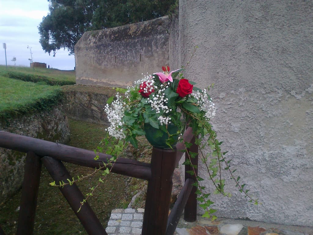 Floristería en Ribadeo