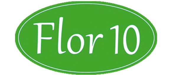 Logo de Flor 10