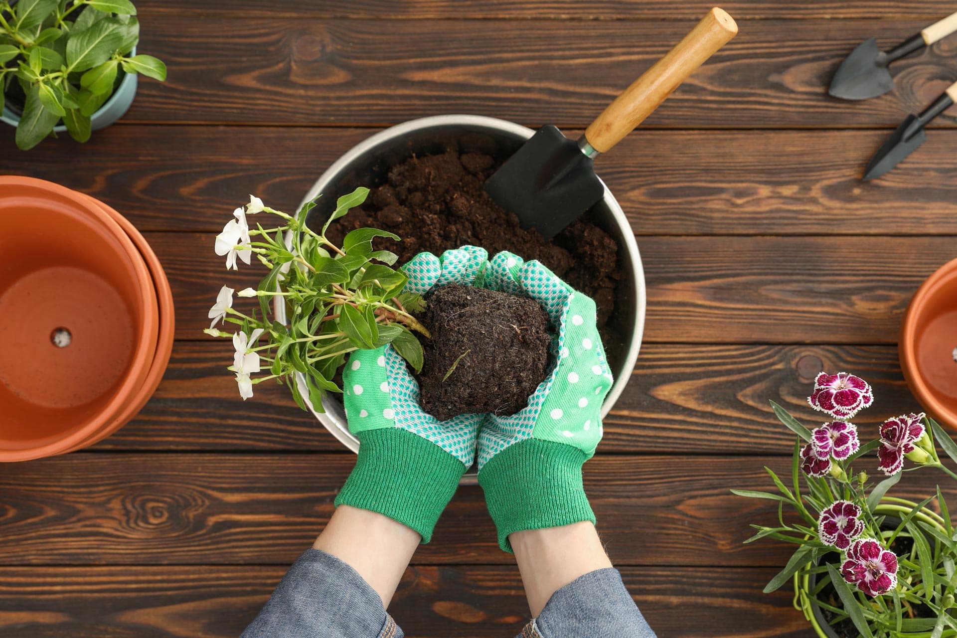 Floristería Maribel, ¡la ayuda para el agricultor que necesitabas!