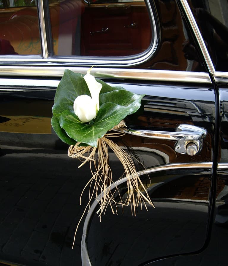 Coches nupciales en Ribadeo