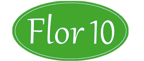 Flor 10