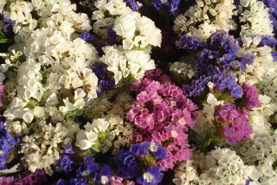  El último adiós, con flores en Ribadeo